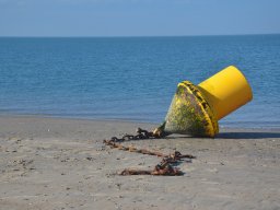 007_seezeichen auf dem trockenen_hp